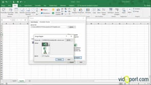 Excel'de sayfa içine bağlantılı Excel dosyası ve simgesi eklemek