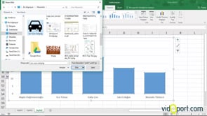 Excel'de grafiklerin içine resimler yerleştirmek