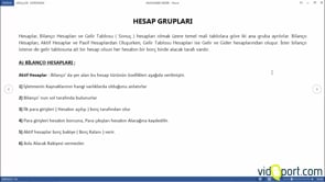 Hesap Grupları- Bilanço Hesapları