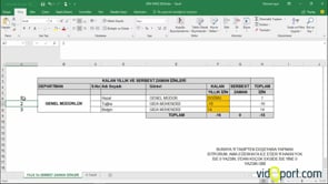 Excel'de İzin günlerini Düşeyara ile getirirken, şartlar vermek