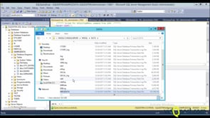 DB Shrink