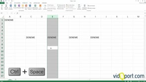 Excel'de Seçim ve Veri Girişi İşlemleri