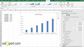  Grafik eksenlerindeki tarihleri ay-yıl şeklinde gösterme