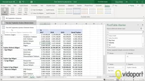 Pivot Tablo Tasarımları ile Çalışmak