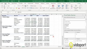 Pivot Tabloları Kopyalama Seçenekleri