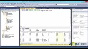 Information Schema View ları ile kolonları listelemek
