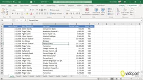 Pivot Tablo'da Ayrı Sayım Özelliğini Kullanmak